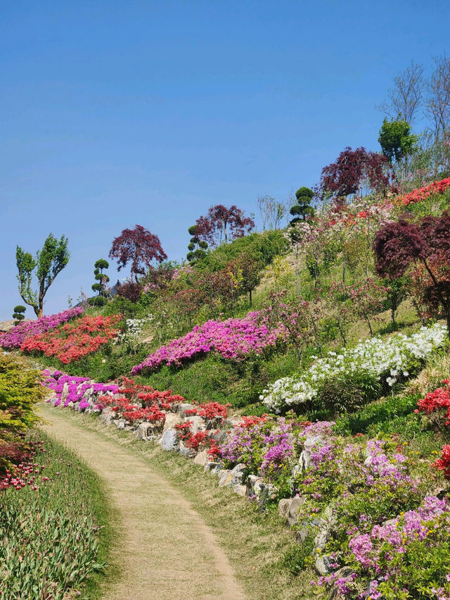 🌸가족 당일치기 여행으로 추천하는🌼피나클랜드 수목원🍃