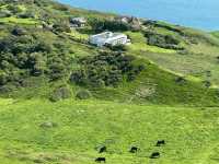 🌊🏞️ Durdle Door Weekend Escape: Jurassic Coast Magic