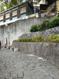 Beitou’s Hidden Gem of Natural Wonder