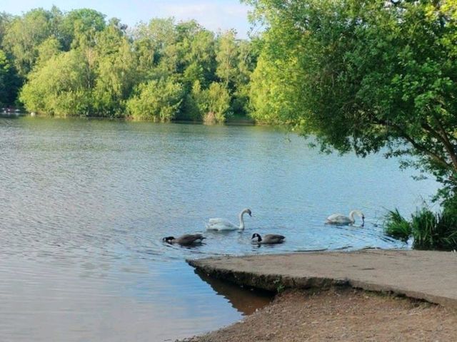 Chorlton Water Park
