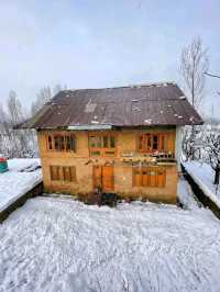 Srinagar – A Soulful Symphony of Lakes, Mountains, and Culture