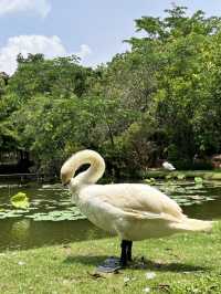 A Luxurious Retreat at InterContinental Khao Yai, Thailand