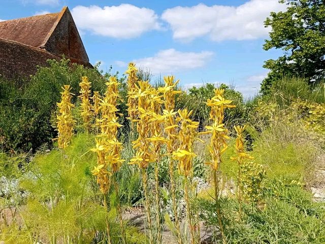Romance in Bloom: A Day at Sissinghurst Castle Garden, Kent