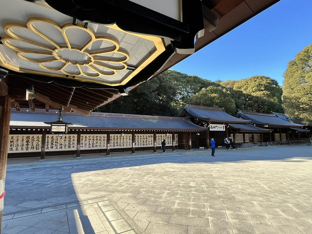 東京明治神宮：都市中的千年神域