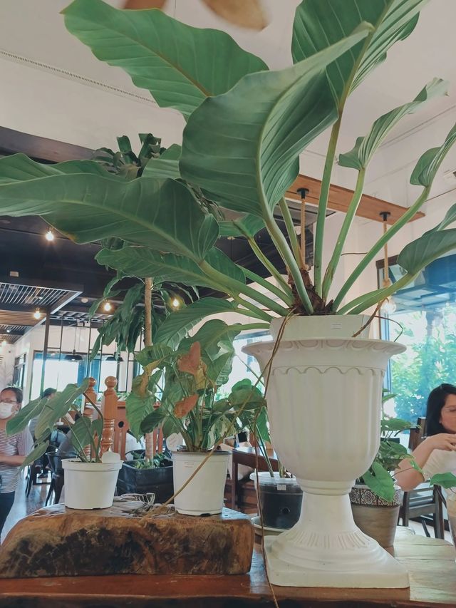 WHEN IN DAVAO CITY