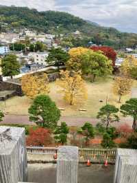 A Peaceful Walk Around Kofu Castle Ruins & Maizuru Park