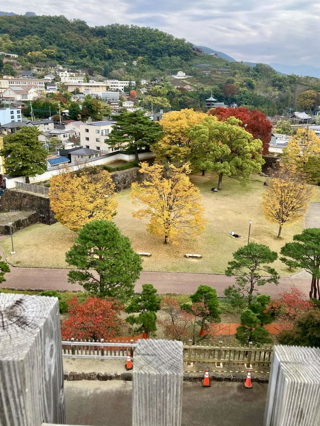 A Peaceful Walk Around Kofu Castle Ruins & Maizuru Park