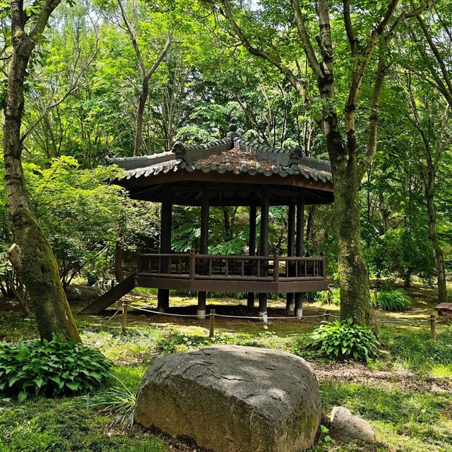 5월의 여왕, 장미 보러 전주수목원 다녀왔어요! 🌹