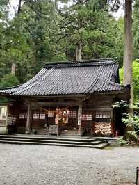 A Slow Stroll Around Oyama Shrine – Nature, Culture & Noodles