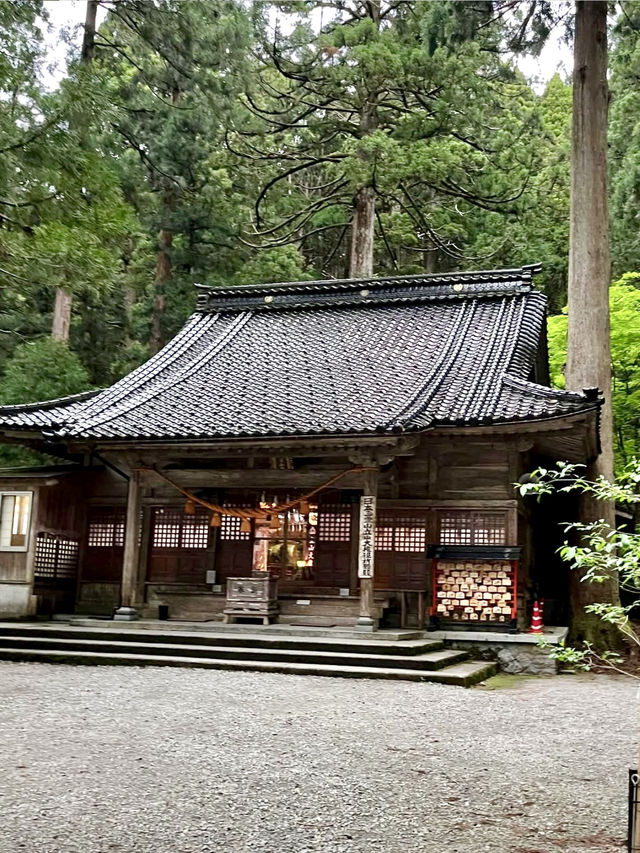 A Slow Stroll Around Oyama Shrine – Nature, Culture & Noodles
