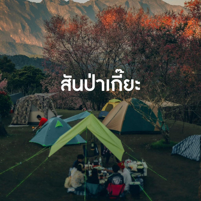 7 ที่เที่ยว เชียงใหม่ ต้อนรับหน้าฝนนี้ 🫶🏻🌧️