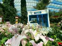 Gardens by the Bay – Singapore’s Futuristic Green Wonderland