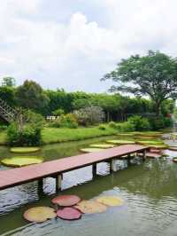 แกะ กะ บัว  |  Farm cafe & restaurant