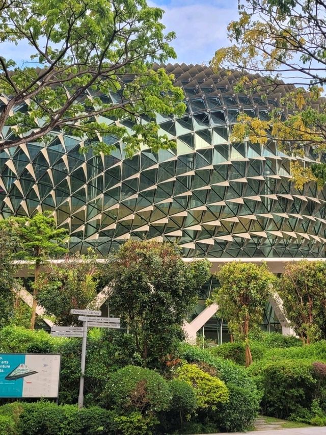 A Field day at Esplanade gardens