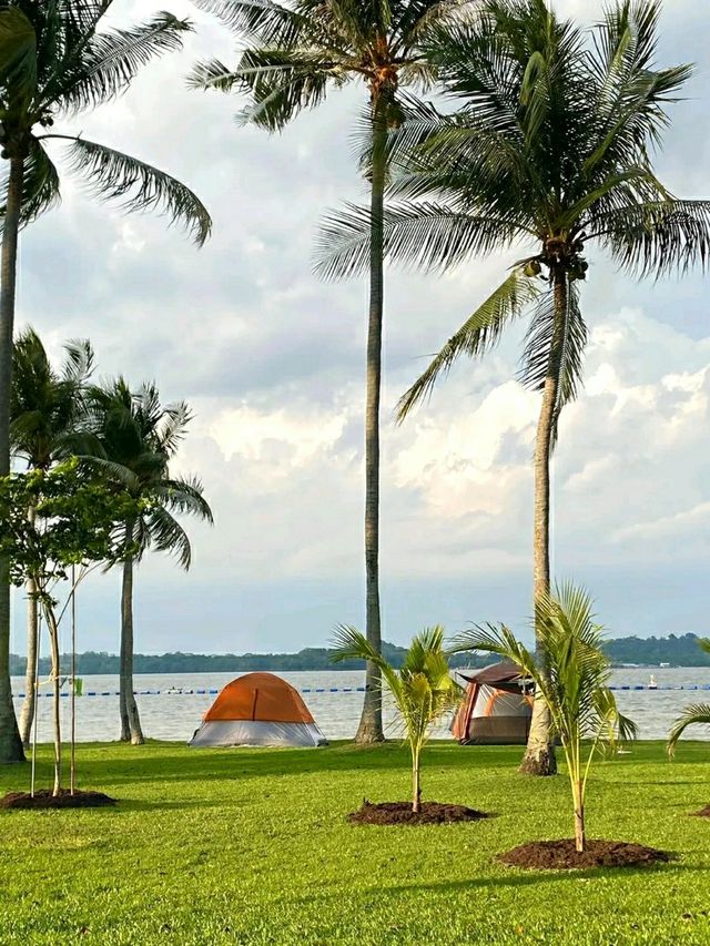 Pasir Ris Park – A Relaxing Coastal Escape in Singapore