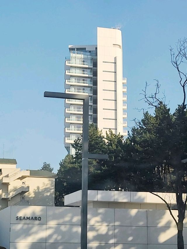강릉 원더풀데이 🤍강릉씨마크호텔