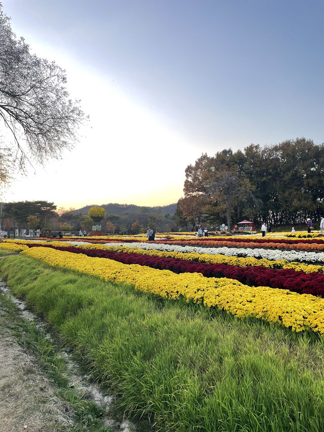 🍂 가을의 결, 연천에서 하루