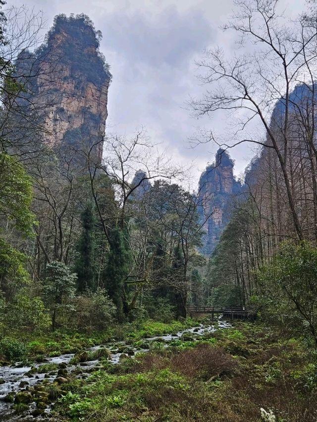 Spring Stroll Through Serenity