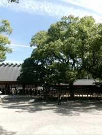 【名古屋攻略】歩いて食べて整って。名古屋の「じわじわ好きになる」1日旅