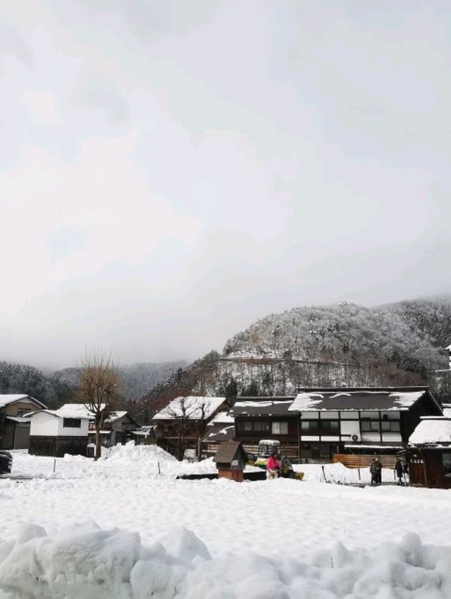 冬天的白川鄉