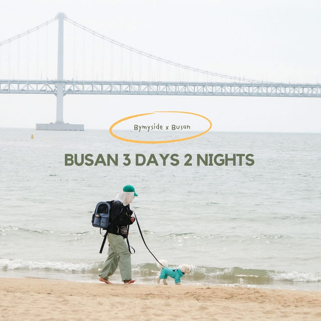 Busan 3 Days 2 Nights 🌸🏖️