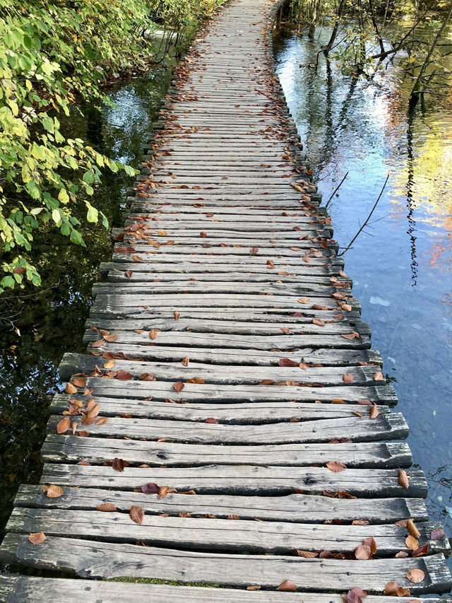 Chasing Waterfalls and Crystal Dreams in Plitvice