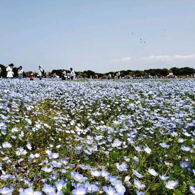 【福岡】海の中道海浜公園