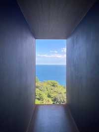 自然とアートが融合した美しすぎる美術館🌿🤍