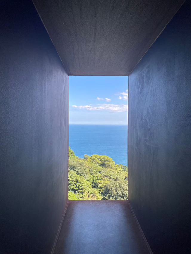 自然とアートが融合した美しすぎる美術館🌿🤍