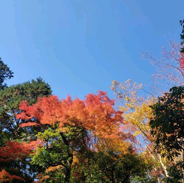 【京都】銀閣寺
