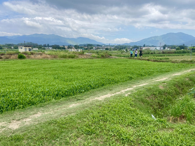 端午節好去處🌟🪻鳳眼藍池塘✨隱世賞花美景
