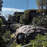 Singapore's Hidden "Ghibli-style" Family Getaway 🌿 | Mandai Rainforest Resort