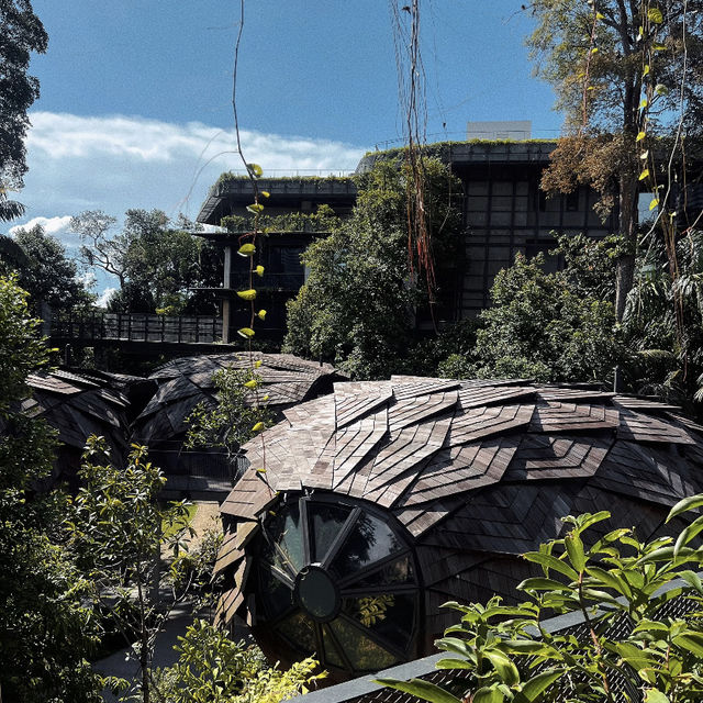 Singapore's Hidden "Ghibli-style" Family Getaway 🌿 | Mandai Rainforest Resort