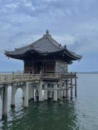 🚐輕鬆包車遊關西｜彥根城×琵琶湖×白鬚神社一日輕旅行