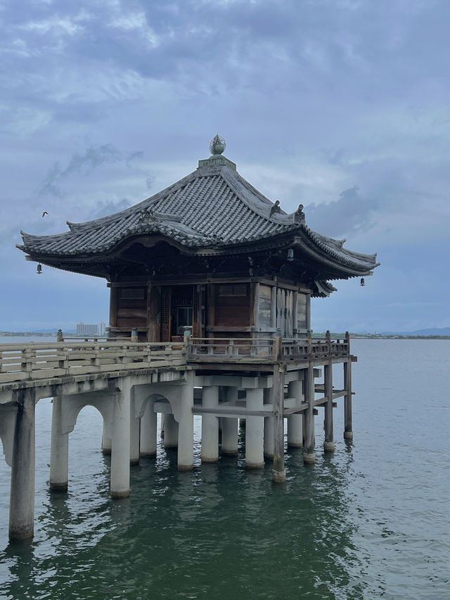 🚐輕鬆包車遊關西｜彥根城×琵琶湖×白鬚神社一日輕旅行