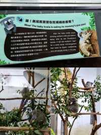 🌟 A Wonderful Day at Taipei Zoo