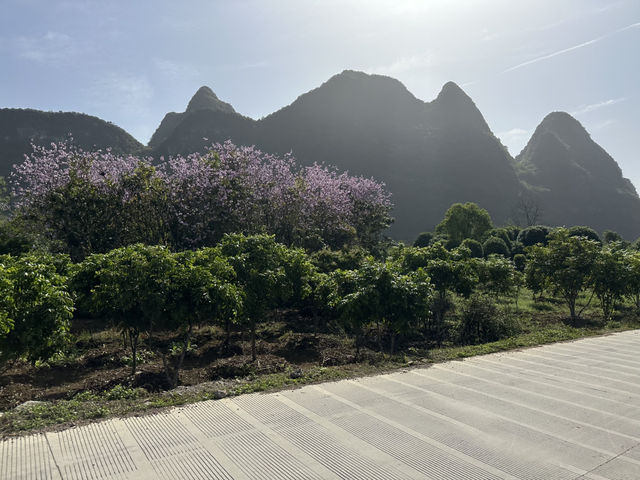 #Yangshuo#Guilin#