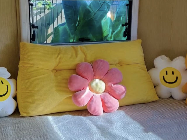 지브리 감성 가득한 제주 독채숙소 "스테이 오늘"🌼