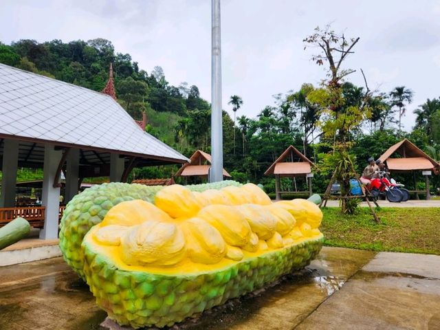 จุดเช็คอินเขาช้างสี ลานสกา นครศรีธรรมราช