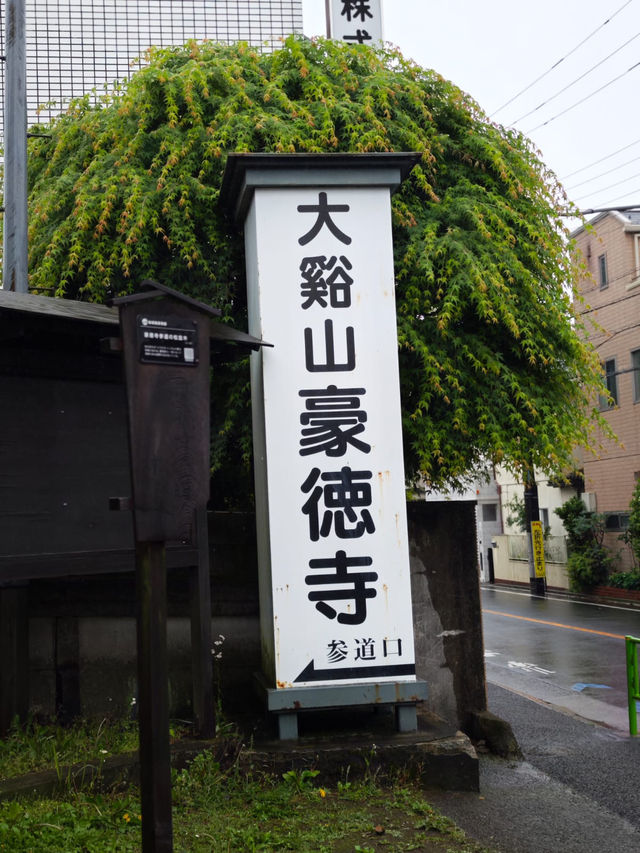 #豪德寺#東京近郊#招財猫#必到景點