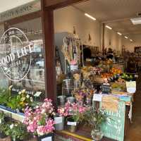 Perth Day Trip – York Town 🏘️