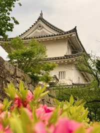 香川｜四百年丸龜城遺跡 最小的天守與日本最高的石垣