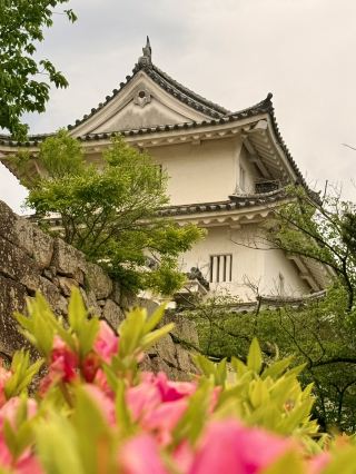 香川｜四百年丸龜城遺跡 最小的天守與日本最高的石垣