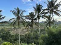 Unique Stay at Magic Hill Bali – Avatar House