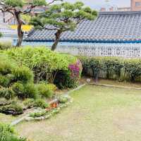 Jeonju Hanok Village: Where Tradition and Modernity Harmonize