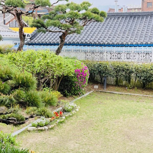 Jeonju Hanok Village: Where Tradition and Modernity Harmonize