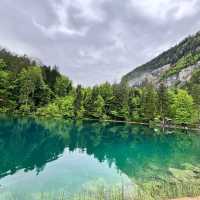 探訪阿爾卑斯山間的秘境～藍湖Blausee