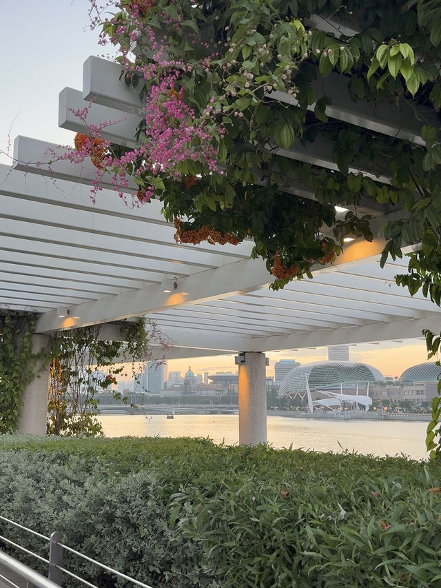 Marina Bay at Dusk: A Peaceful Evening Path with City Views