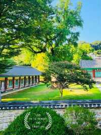 Journey to Learning and Tradition: A Review of Jeonju Hyanggyo