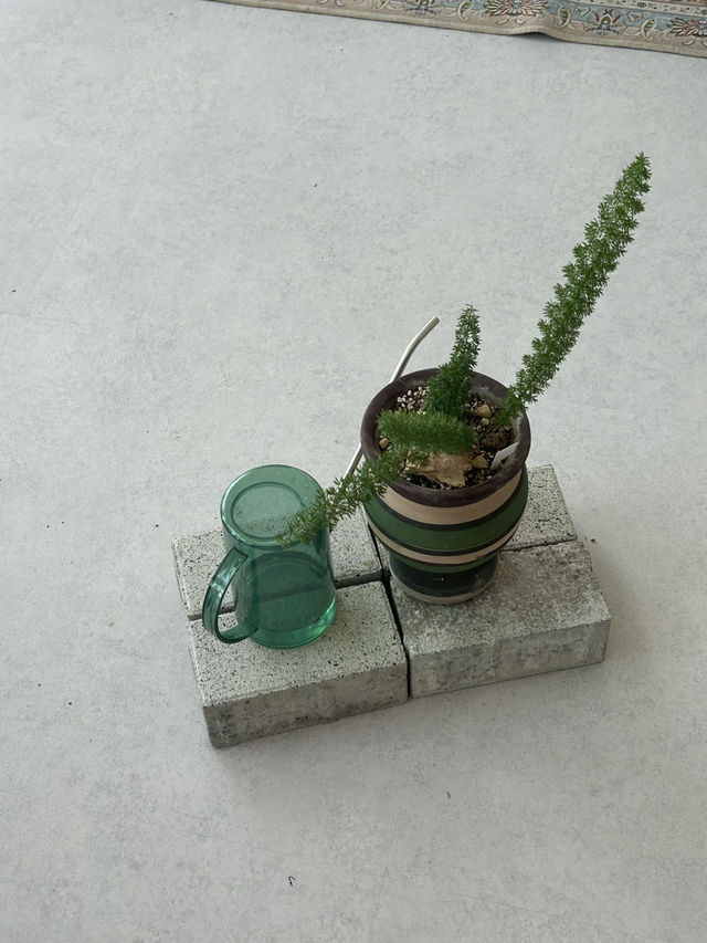 ️요즘 감성 가득한, 고아웃스트릿 카페☕️🤍